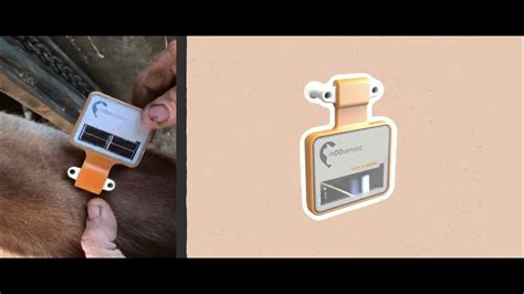 rfid ear tag system|livestock gps ear tags.